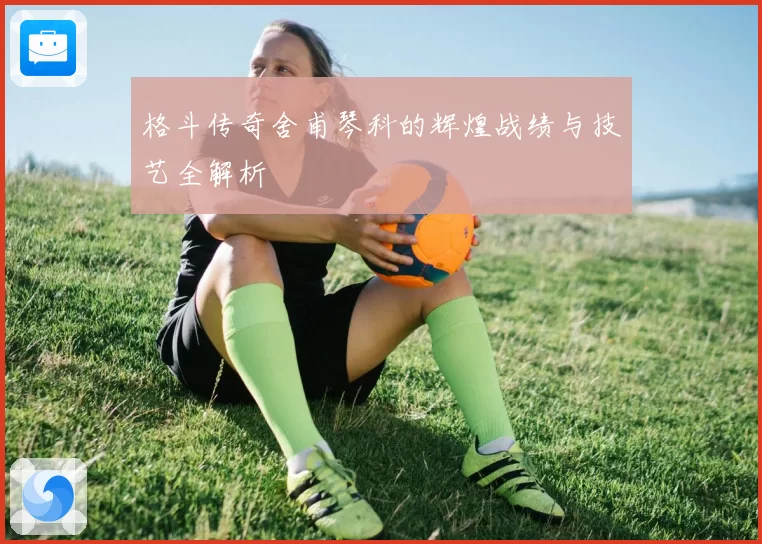 格斗传奇舍甫琴科的辉煌战绩与技艺全解析