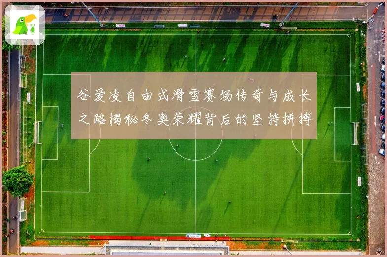谷爱凌自由式滑雪赛场传奇与成长之路揭秘冬奥荣耀背后的坚持拼搏与青春梦想