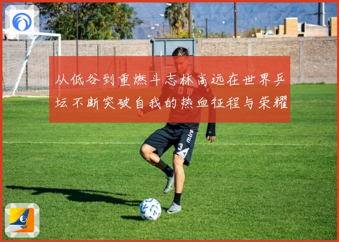 从低谷到重燃斗志林高远在世界乒坛不断突破自我的热血征程与荣耀梦想