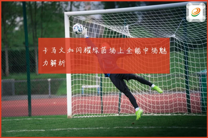 卡马文加闪耀绿茵场上全能中场魅力解析