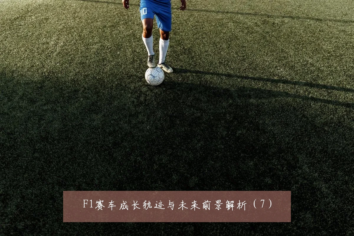 F1赛车成长轨迹与未来前景解析（7）